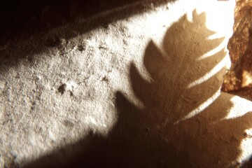 Sunlit shadow of a leaf on a textured surface