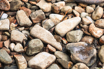 A multitude of colorful stones creates a natural texture on the ground. The variety of shapes,...