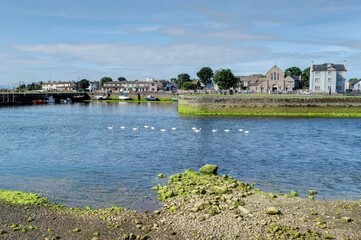Fototapeta premium promenade estivale dans les rues de Galway en Irlande