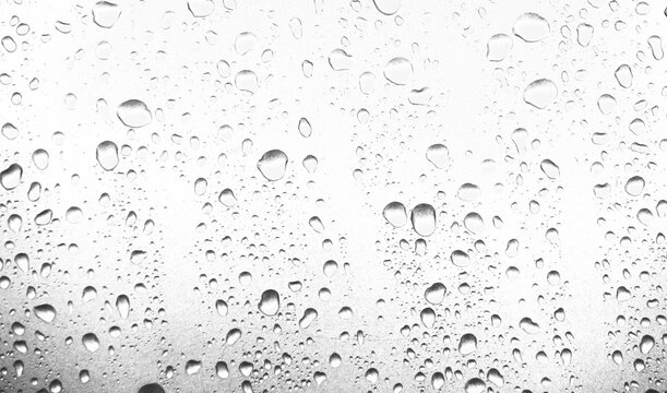 Water rain or shower drops seamless border isolated on transparent background. Realistic pure droplets condensed texture.