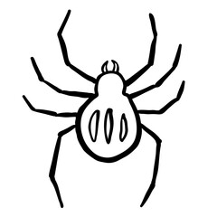 Doodle spider illustration.