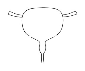 膀胱の線画イラスト