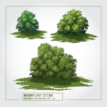Bush Plant Vector Illustration. Vector illustration of cartoon trees set isolated, modern style, green plants, forest, nature, healthy lifestyle, eco friendly.