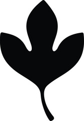 Vector Illustrator Single fig leaf botanical design simple Silhouette