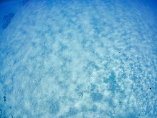 白く美しい砂地の水底。
美しいサンゴ礁と熱帯魚の群れ。
沖縄県島尻郡慶良間諸島座間味島嘉比島-2025/6/27
