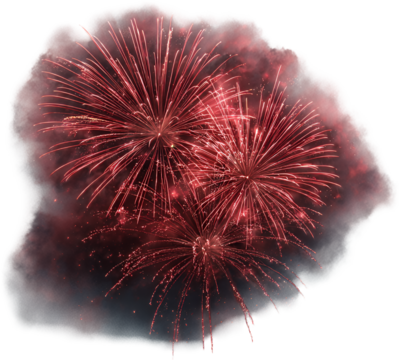 fireworks in the night sky