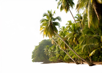 Tropical palm trees on a vibrant abstract beach isolated on a transparent background