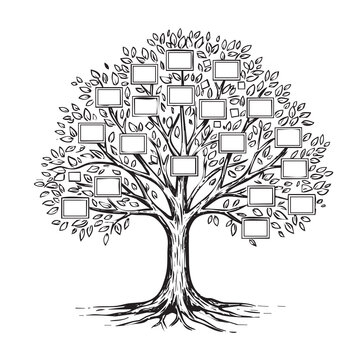 Hand-drawn family tree sketch with multiple frames for showing relationships between family members