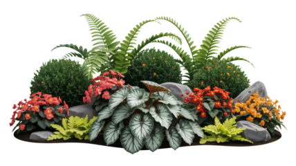 Vibrant flowerbed display with ferns and colorful begonias