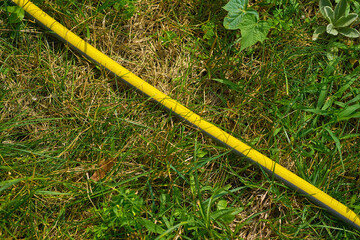 Irrigation.Yellow watering rubber hose lying on green grass