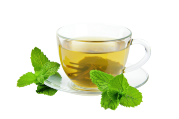 Herbal Mint Tea with Fresh Leaves, Cup of Green Tea, Refreshment