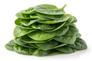 Stack of fresh green spinach leaves isolated on white background
