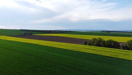 Obraz premium Rolling fields, vibrant colors