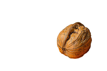 Obraz premium Textured walnut shell, detailed nut, healthy food