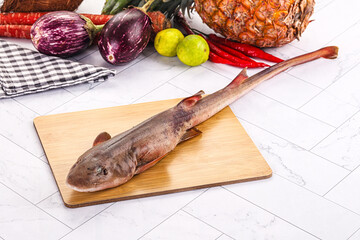 Raw indian catshark for cooking