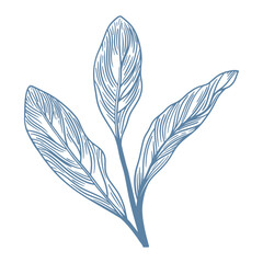 Botanical blue wedding flower on white background. Hand drawn floral, flower and leaf branch in toile de jouy style. Line art for wedding, monogram, invitation, greeting, logo, birthday cards