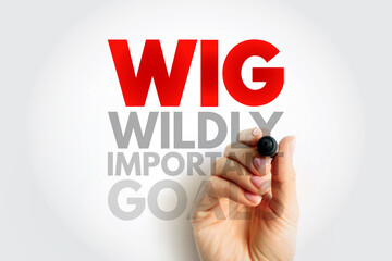 WIG Wildly Important Goals - highly important goals that must be achieved or no other goal matters,...