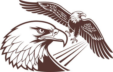 eagle vector illustration