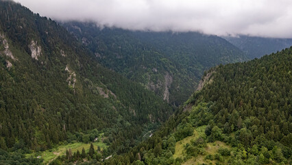 Fog rolling over the green valley of Camlihemin in Rize, Turkiye, Black Sea Region