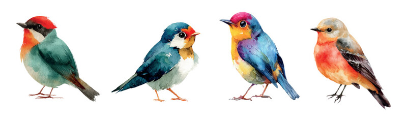Watercolor birds collection. Colorful birds painted in watercolor. Forest and city birds. Elements of nature characters of parks, forests, cities, etc. Vector illustration
