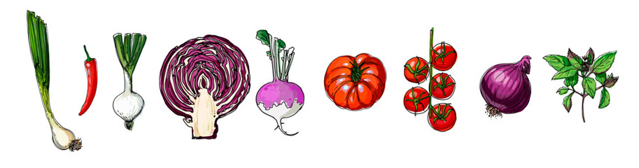 Hand Drawn line Vegetables – Sketch Style Vector Set