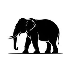 Fototapeta premium elephant vector illustration