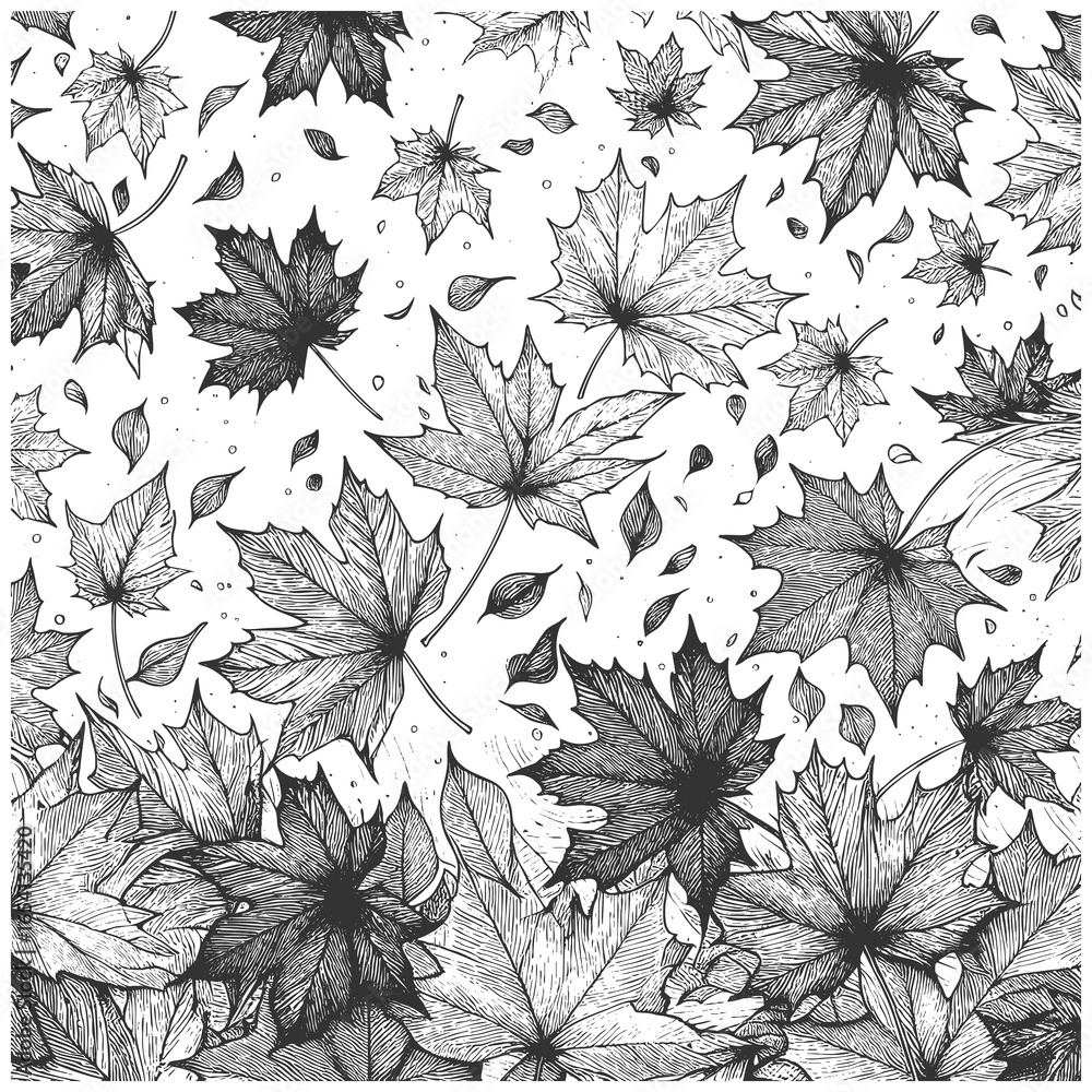 Poster scattered maple leaves in various sizes, creating a dynamic and decorative autumn-inspired pattern s