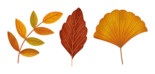 Fototapeta premium Bright Autumn Leaves Vector Set Illustration