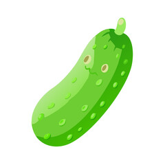 green cucumber with green leaves