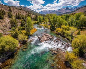 Clear Mountain River Flowing Through Green Valley