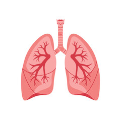 Human Lung Anatomy Illustration with Trachea and Bronchial Tree Depicted in a Simple Flat Design Style on a Clean White Background for Medical or Educational