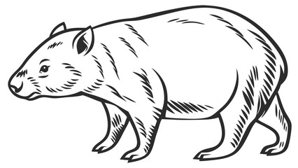 Obraz premium vector illustration of a sketch of a wolf