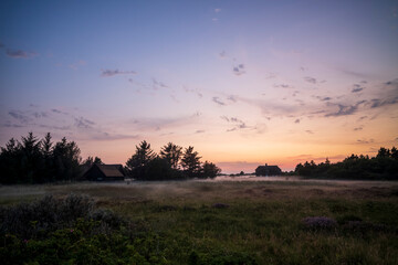 sunset over the field