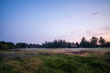 fog over the ground at dusk