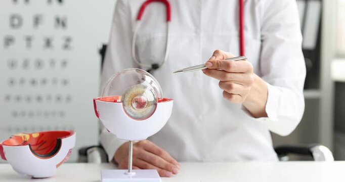 Doctor explains human eyeball structure pointing pen at model creating visual guide. Medical specialist teaches details showing anatomy during lecture