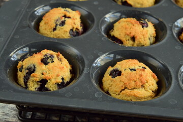 Gluten free blueberry coconut muffins 