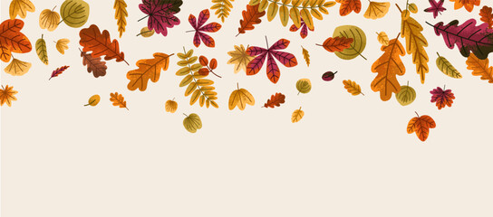 Fall leaf border. Autumn foliage, tree leaves decoration, banner background. Decorative botanical design with flying leafage, seasonal forest decor, pattern, backdrop. Flat vector illustration