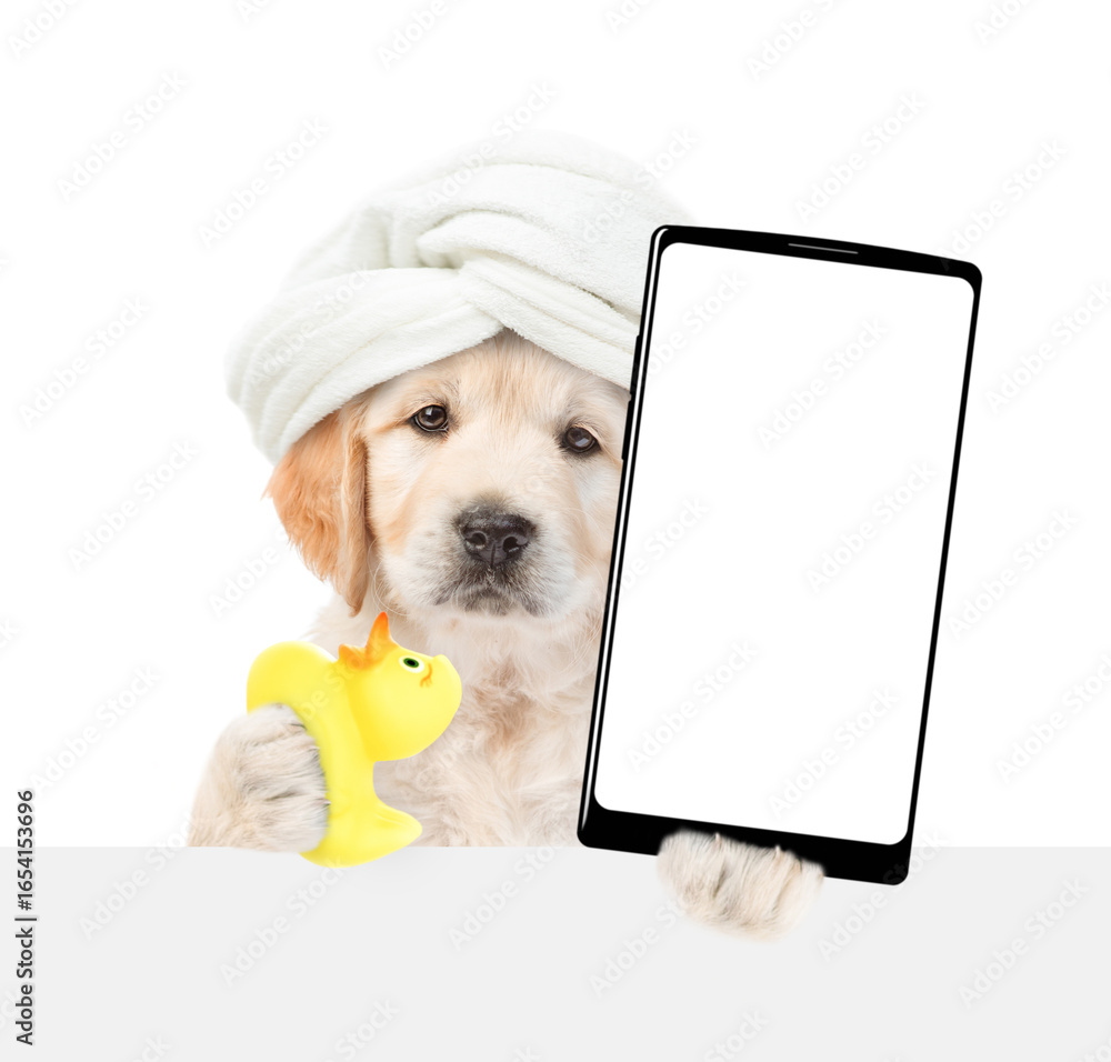 Poster golden retriever puppy with towel on it head holds rubbr duck and big smartphone with white blank sc