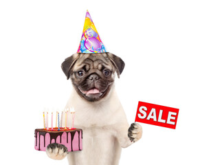 Pug puppy wearing  party cap holds cake with lots burning candles and showing signboard with...