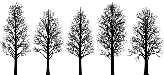 Leafless winter tree silhouettes collection, detailed branching patterns, black isolated vector set for nature, forest, landscape, environment, conservation design projects