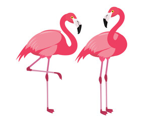 Naklejka premium Flamingo bird in the zoo.