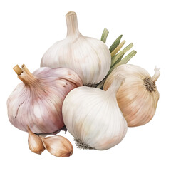 Fresh Garlic Bulbs With Cloves And Green Stems: Realistic Illustration Of White, Purple, And Pink Garlic Varieties In Natural Organic Composition