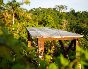 Fototapeta premium Rustic wooden table in jungle