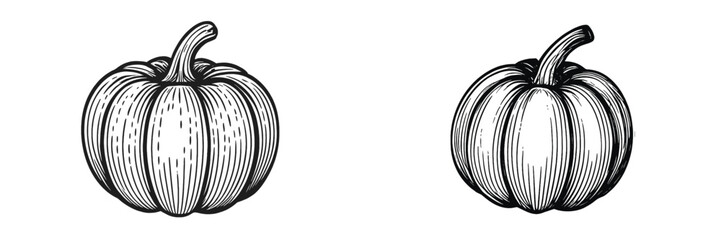 Hand-drawn vector illustration of pumpkins in black and white