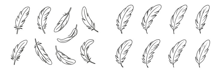 Black and white vector illustration of feather designs