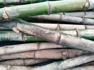 A pile of bamboo stalks with a rough and uneven texture, and some are bright green, and others are...