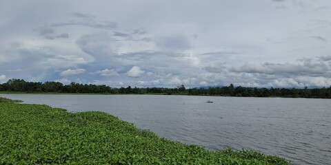 Tranquil water scene lush green landscape nature photography serene environment wide-angle view...