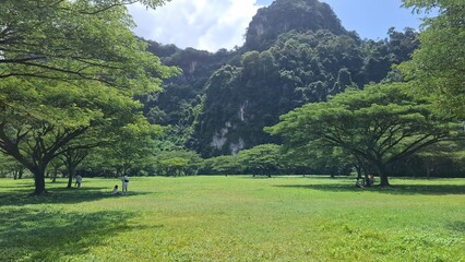 Tranquil nature retreat scenic landscape exploration lush green fields outdoor adventure serene...