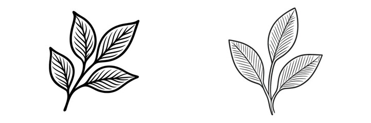 Elegant vector illustration of isolated leaves in minimal style