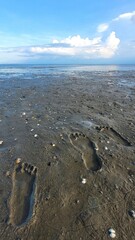Footprints on the shoreline tidelines at sunset nature scene coastal environment ground level view...